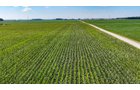Property photo 7 - FARMLAND AUCTION - 95.9+/-ACRES OFFERED IN 5 TRACTS IN ALLEN COUNTY, INDIANA