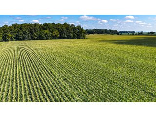 Property photo 8 - FARMLAND AUCTION - 95.9+/-ACRES OFFERED IN 5 TRACTS IN ALLEN COUNTY, INDIANA