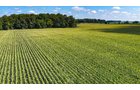 Property photo 8 - FARMLAND AUCTION - 95.9+/-ACRES OFFERED IN 5 TRACTS IN ALLEN COUNTY, INDIANA
