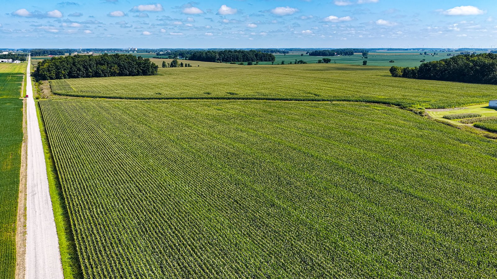 Property photo 9 - FARMLAND AUCTION - 95.9+/-ACRES OFFERED IN 5 TRACTS IN ALLEN COUNTY, INDIANA