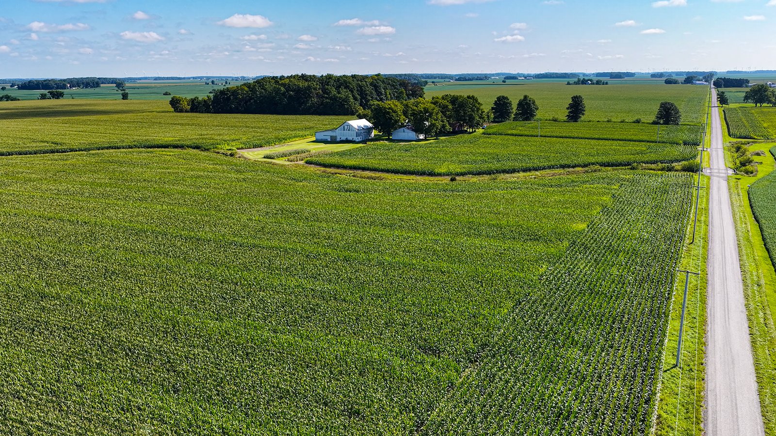 Property photo 10 - FARMLAND AUCTION - 95.9+/-ACRES OFFERED IN 5 TRACTS IN ALLEN COUNTY, INDIANA