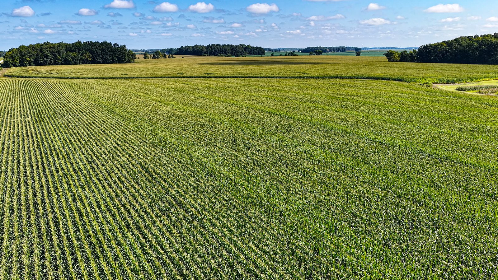 Property photo 11 - FARMLAND AUCTION - 95.9+/-ACRES OFFERED IN 5 TRACTS IN ALLEN COUNTY, INDIANA
