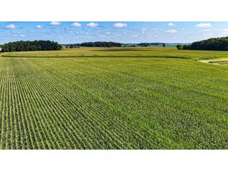 Property photo 11 - FARMLAND AUCTION - 95.9+/-ACRES OFFERED IN 5 TRACTS IN ALLEN COUNTY, INDIANA