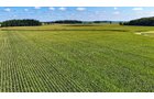 Property photo 11 - FARMLAND AUCTION - 95.9+/-ACRES OFFERED IN 5 TRACTS IN ALLEN COUNTY, INDIANA