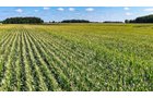 Property photo 12 - FARMLAND AUCTION - 95.9+/-ACRES OFFERED IN 5 TRACTS IN ALLEN COUNTY, INDIANA