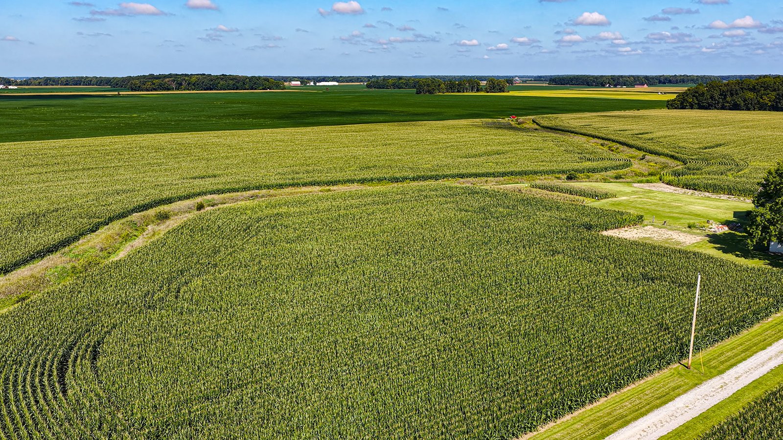 Property photo 14 - FARMLAND AUCTION - 95.9+/-ACRES OFFERED IN 5 TRACTS IN ALLEN COUNTY, INDIANA