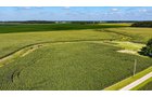 Property photo 14 - FARMLAND AUCTION - 95.9+/-ACRES OFFERED IN 5 TRACTS IN ALLEN COUNTY, INDIANA