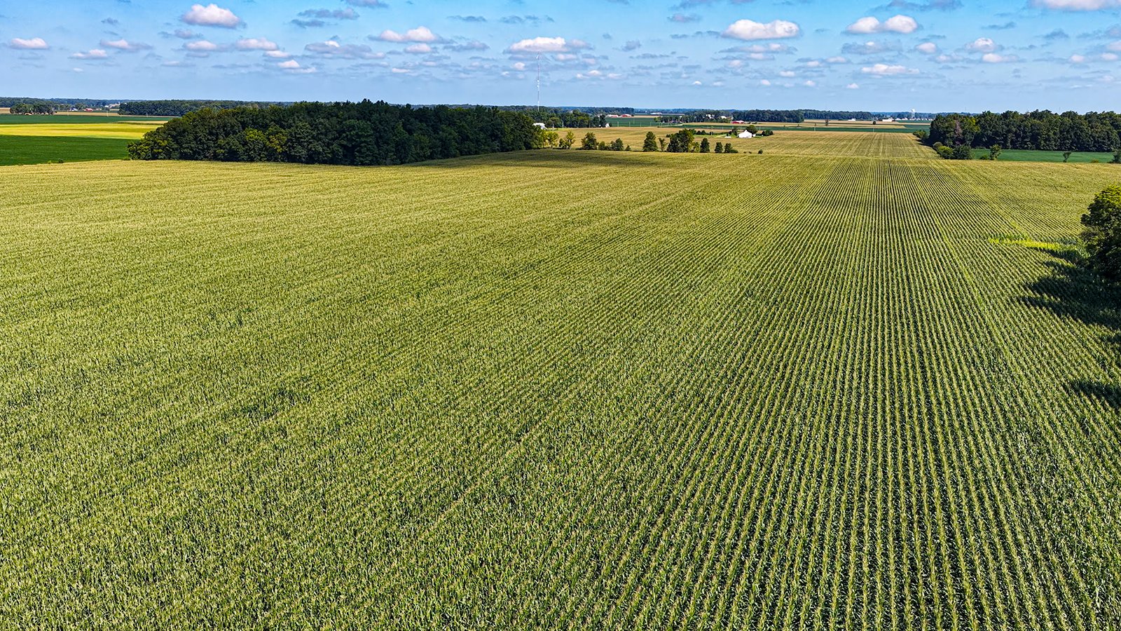 Property photo 15 - FARMLAND AUCTION - 95.9+/-ACRES OFFERED IN 5 TRACTS IN ALLEN COUNTY, INDIANA