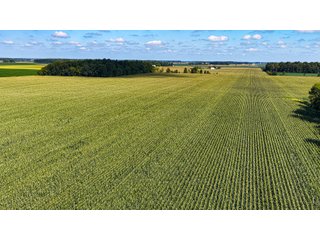 Property photo 15 - FARMLAND AUCTION - 95.9+/-ACRES OFFERED IN 5 TRACTS IN ALLEN COUNTY, INDIANA