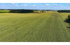 Property photo 15 - FARMLAND AUCTION - 95.9+/-ACRES OFFERED IN 5 TRACTS IN ALLEN COUNTY, INDIANA