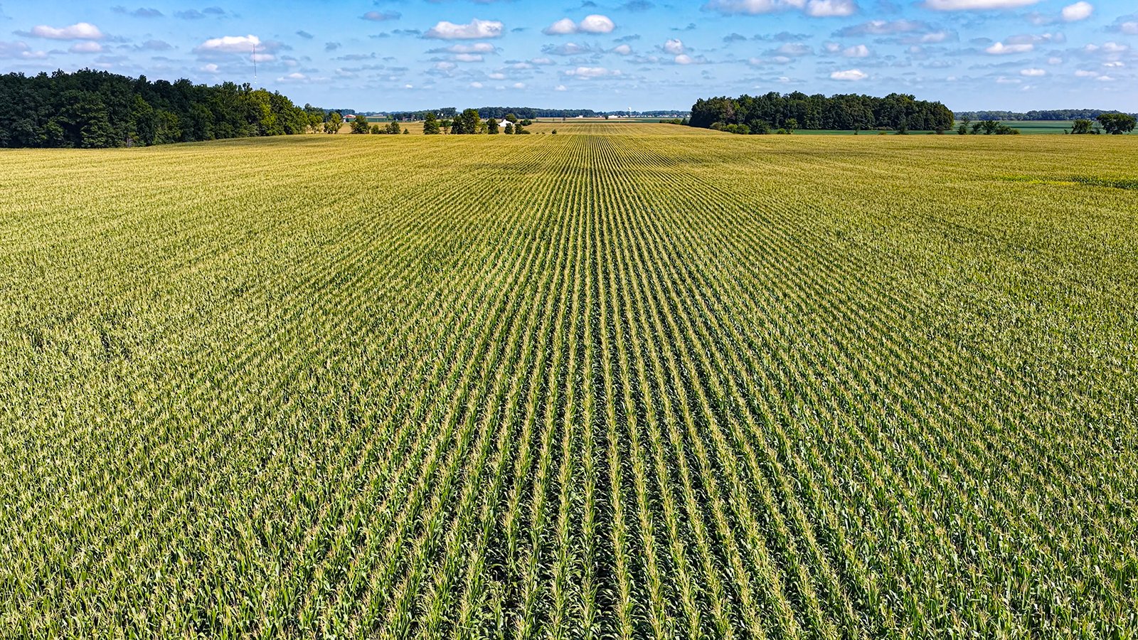 Property photo 16 - FARMLAND AUCTION - 95.9+/-ACRES OFFERED IN 5 TRACTS IN ALLEN COUNTY, INDIANA