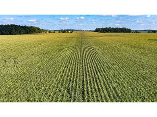 Property photo 16 - FARMLAND AUCTION - 95.9+/-ACRES OFFERED IN 5 TRACTS IN ALLEN COUNTY, INDIANA
