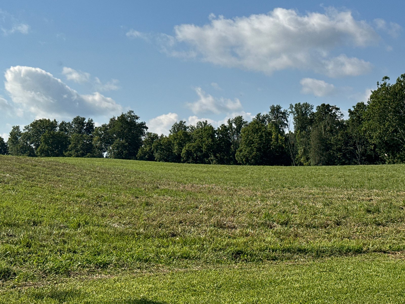 Property photo 48 - LAND AUCTION - 224+/-ACRES OFFERED IN 8 TRACTS IN WAYNE COUNTY, INDIANA
