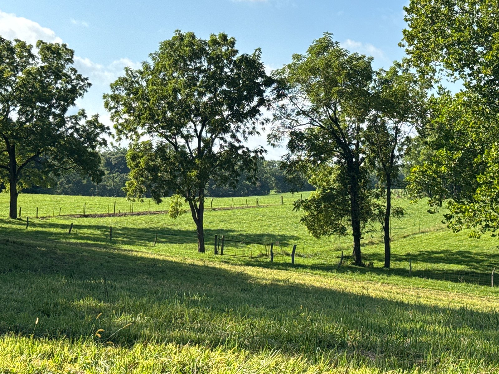 Property photo 49 - LAND AUCTION - 224+/-ACRES OFFERED IN 8 TRACTS IN WAYNE COUNTY, INDIANA