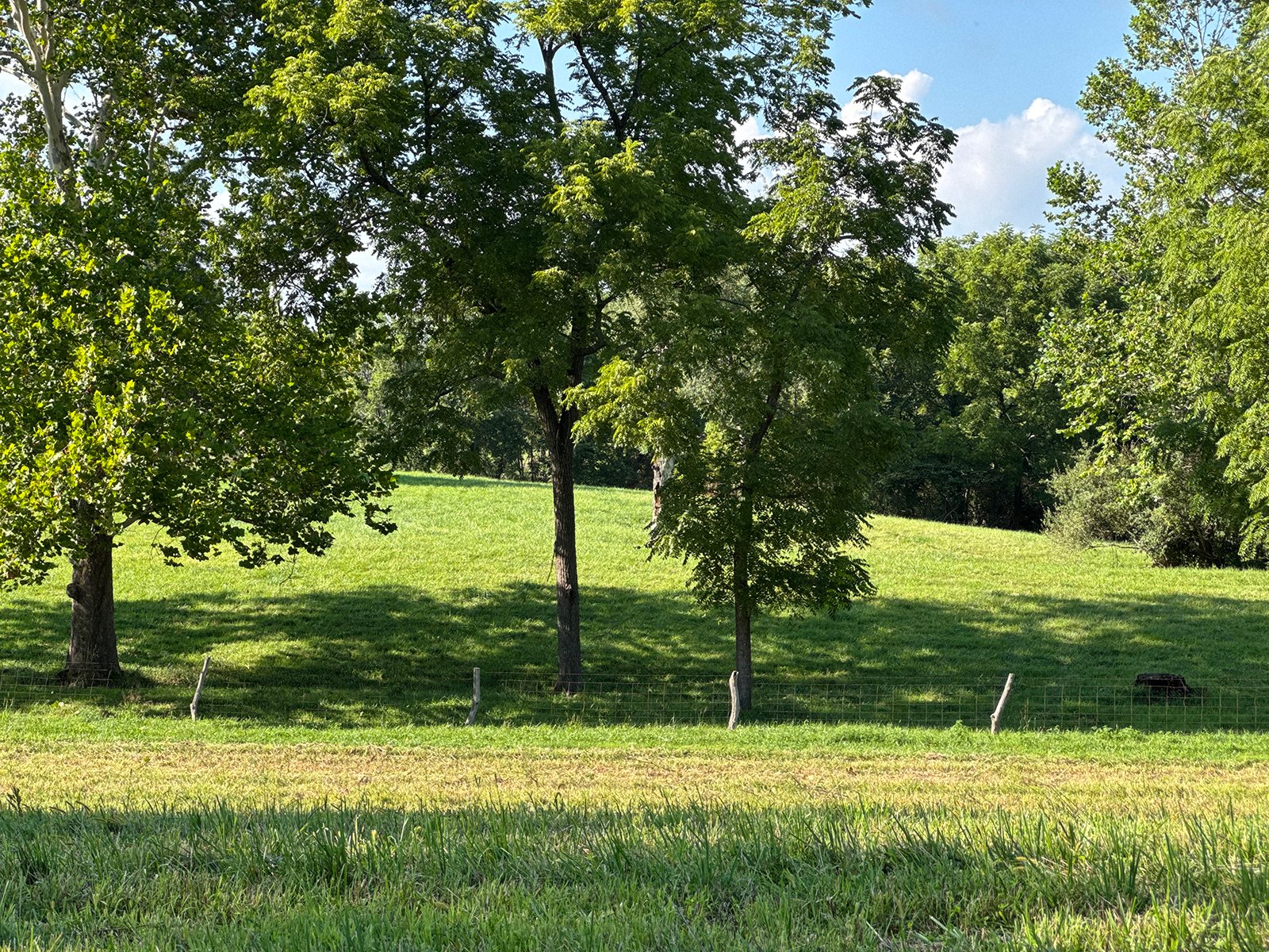 Property photo 42 - LAND AUCTION - 224+/-ACRES OFFERED IN 8 TRACTS IN WAYNE COUNTY, INDIANA
