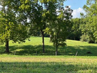 Property photo 42 - LAND AUCTION - 224+/-ACRES OFFERED IN 8 TRACTS IN WAYNE COUNTY, INDIANA