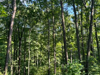 Property photo 33 - LAND AUCTION - 224+/-ACRES OFFERED IN 8 TRACTS IN WAYNE COUNTY, INDIANA