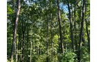 Property photo 28 - LAND AUCTION - 224+/-ACRES OFFERED IN 8 TRACTS IN WAYNE COUNTY, INDIANA