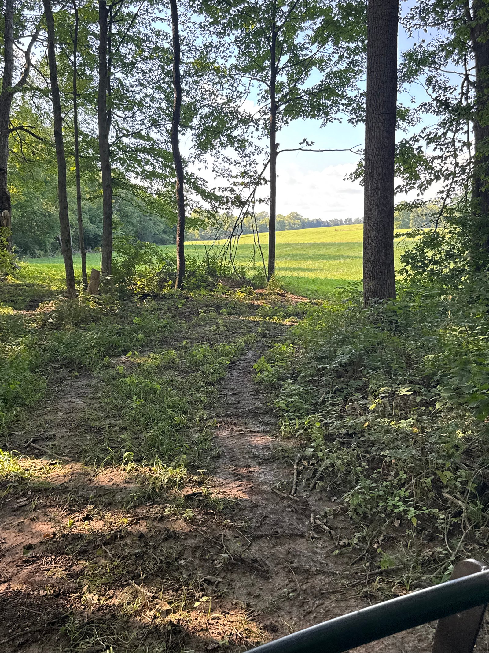 Property photo 33 - LAND AUCTION - 224+/-ACRES OFFERED IN 8 TRACTS IN WAYNE COUNTY, INDIANA