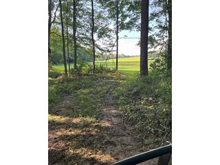 Property photo 32 - LAND AUCTION - 224+/-ACRES OFFERED IN 8 TRACTS IN WAYNE COUNTY, INDIANA