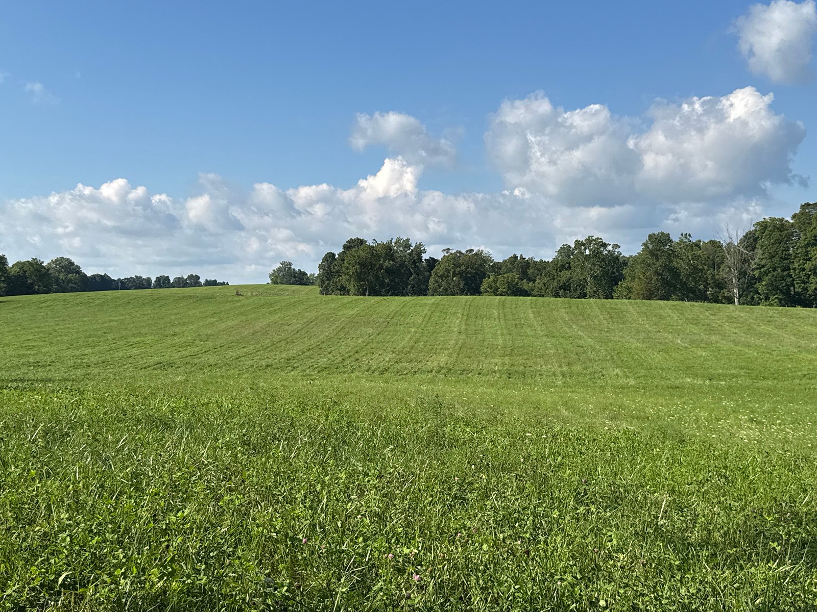 Property photo 32 - LAND AUCTION - 224+/-ACRES OFFERED IN 8 TRACTS IN WAYNE COUNTY, INDIANA