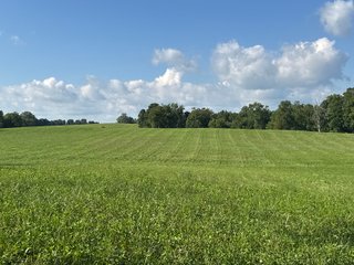 Property photo 31 - LAND AUCTION - 224+/-ACRES OFFERED IN 8 TRACTS IN WAYNE COUNTY, INDIANA