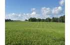 Property photo 32 - LAND AUCTION - 224+/-ACRES OFFERED IN 8 TRACTS IN WAYNE COUNTY, INDIANA