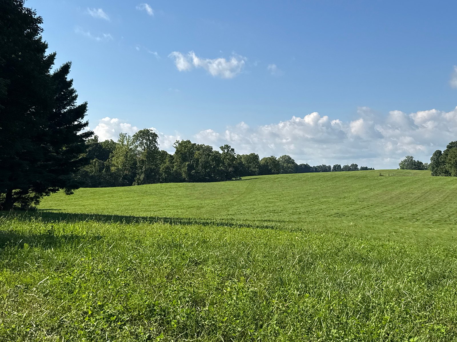 Property photo 31 - LAND AUCTION - 224+/-ACRES OFFERED IN 8 TRACTS IN WAYNE COUNTY, INDIANA