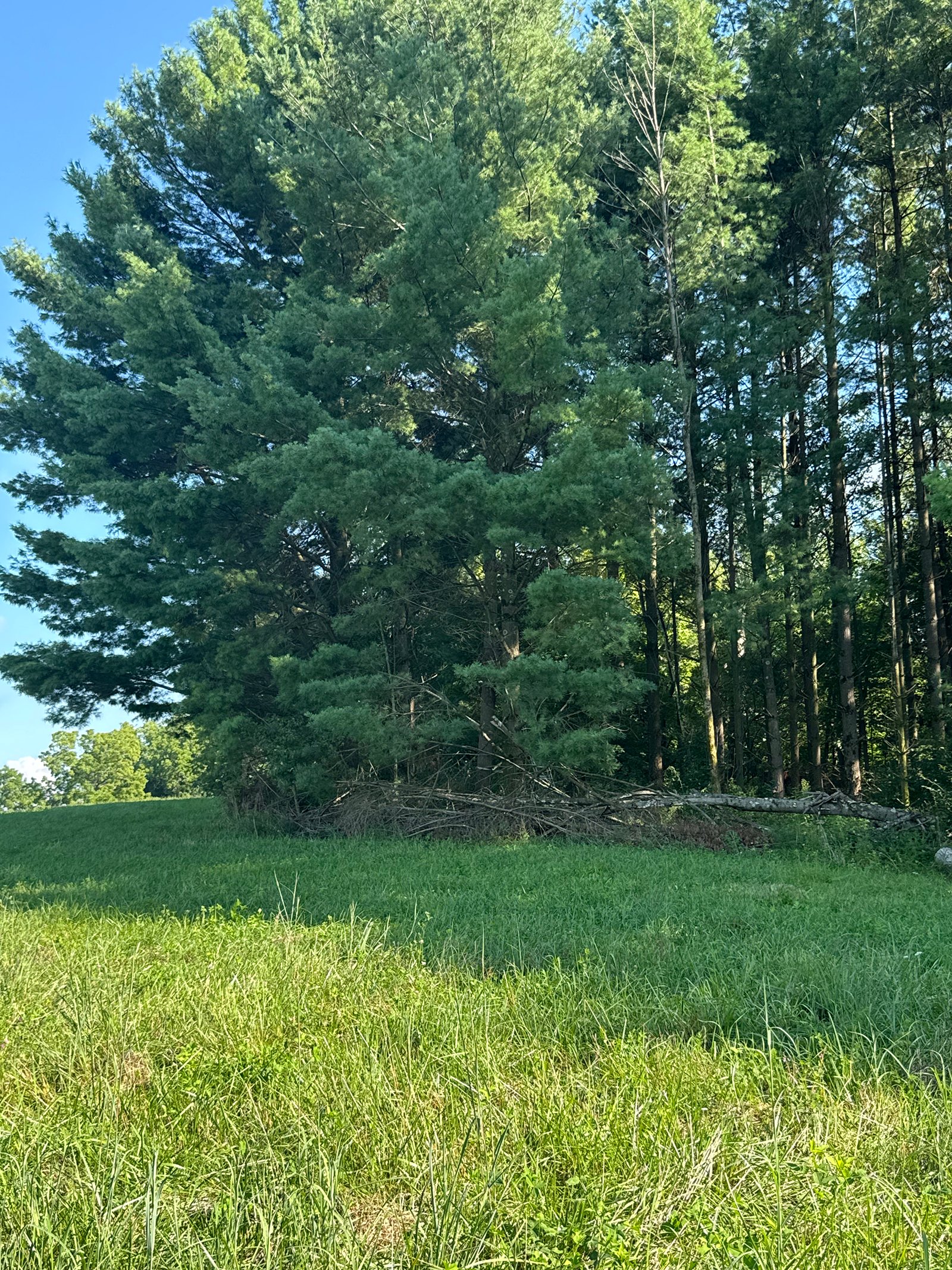 Property photo 30 - LAND AUCTION - 224+/-ACRES OFFERED IN 8 TRACTS IN WAYNE COUNTY, INDIANA
