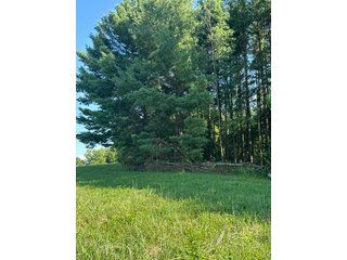 Property photo 29 - LAND AUCTION - 224+/-ACRES OFFERED IN 8 TRACTS IN WAYNE COUNTY, INDIANA