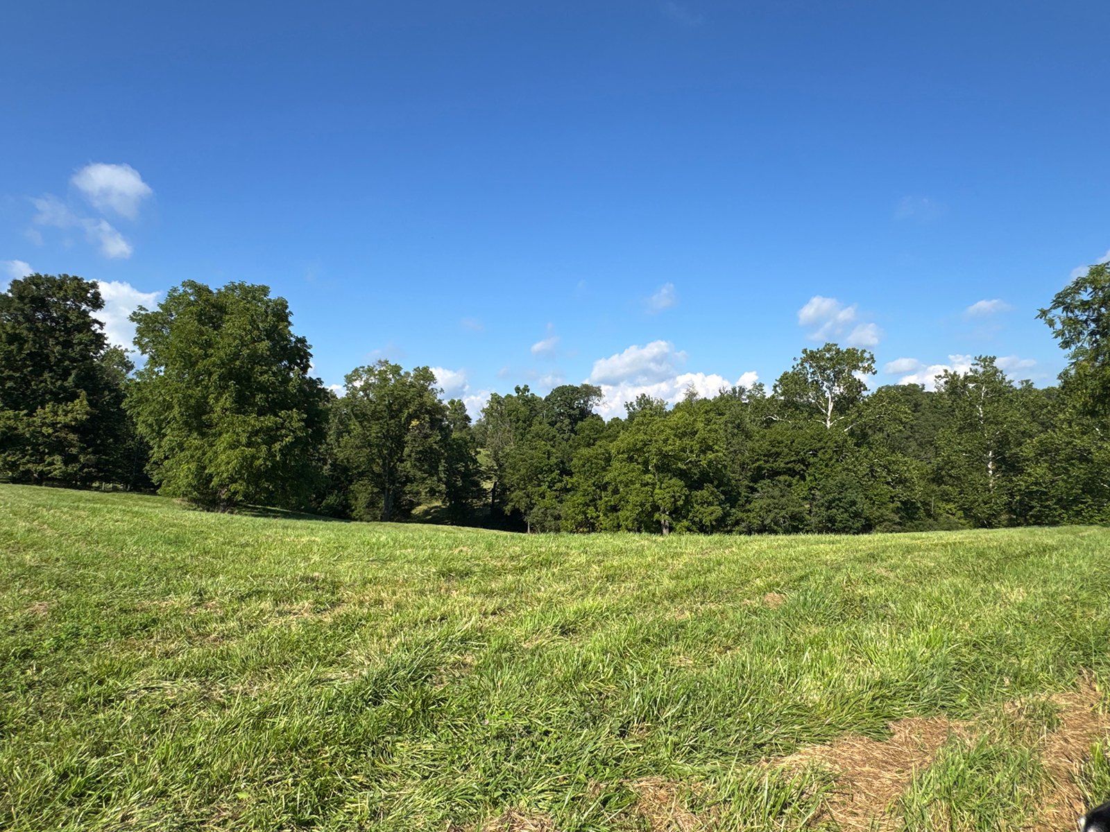 Property photo 29 - LAND AUCTION - 224+/-ACRES OFFERED IN 8 TRACTS IN WAYNE COUNTY, INDIANA
