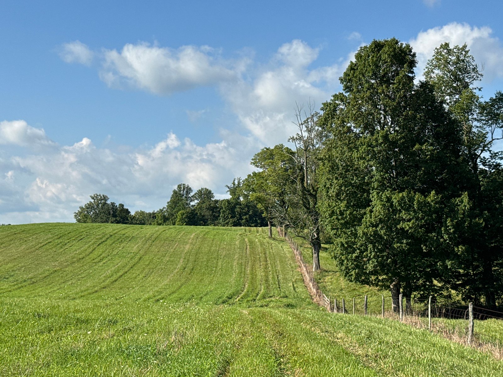 Property photo 34 - LAND AUCTION - 224+/-ACRES OFFERED IN 8 TRACTS IN WAYNE COUNTY, INDIANA