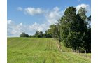 Property photo 34 - LAND AUCTION - 224+/-ACRES OFFERED IN 8 TRACTS IN WAYNE COUNTY, INDIANA