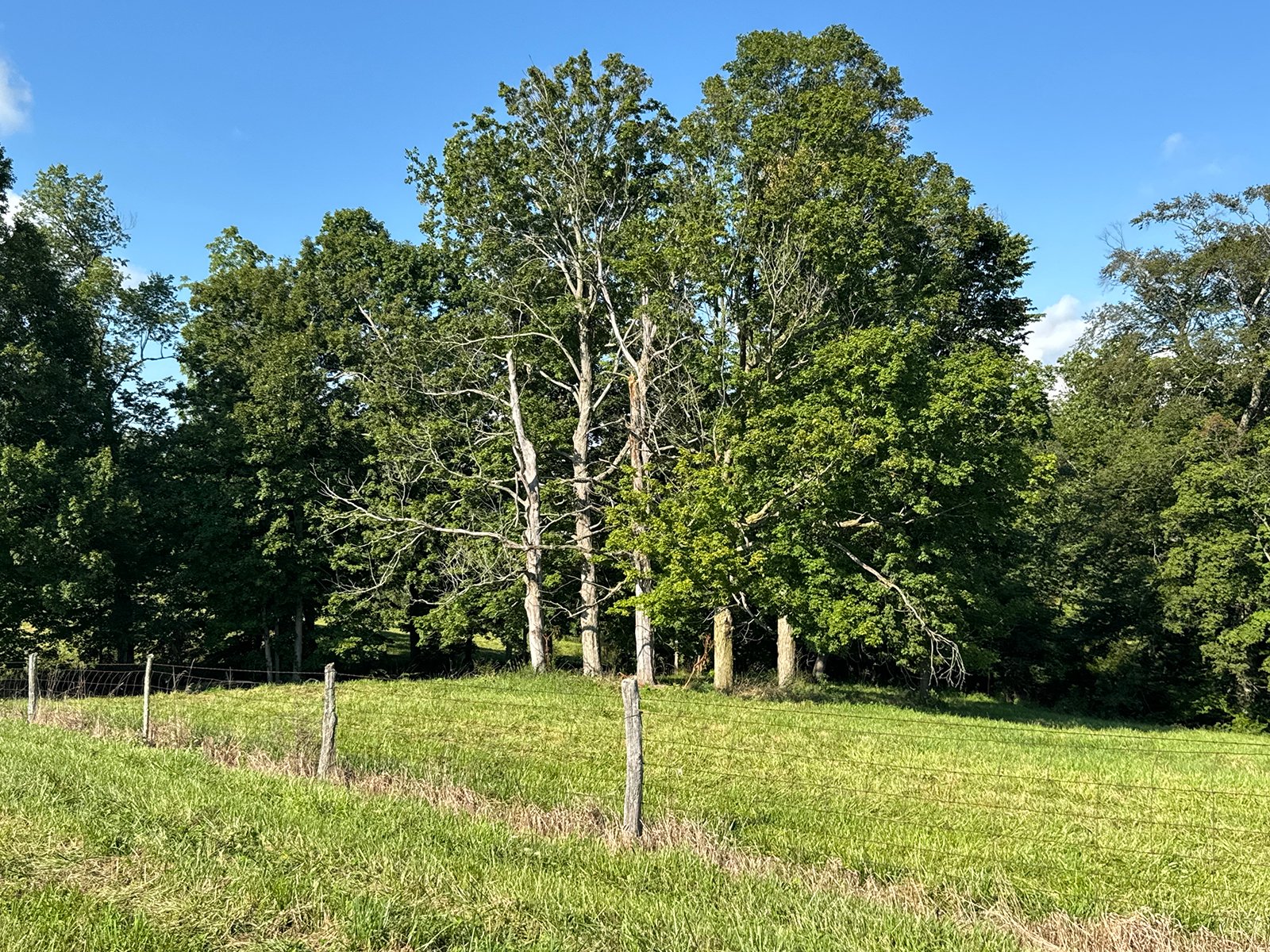 Property photo 35 - LAND AUCTION - 224+/-ACRES OFFERED IN 8 TRACTS IN WAYNE COUNTY, INDIANA