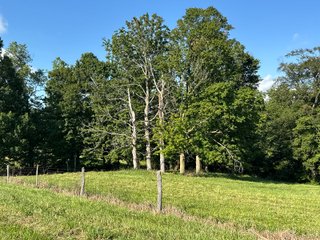 Property photo 35 - LAND AUCTION - 224+/-ACRES OFFERED IN 8 TRACTS IN WAYNE COUNTY, INDIANA