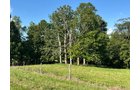 Property photo 35 - LAND AUCTION - 224+/-ACRES OFFERED IN 8 TRACTS IN WAYNE COUNTY, INDIANA
