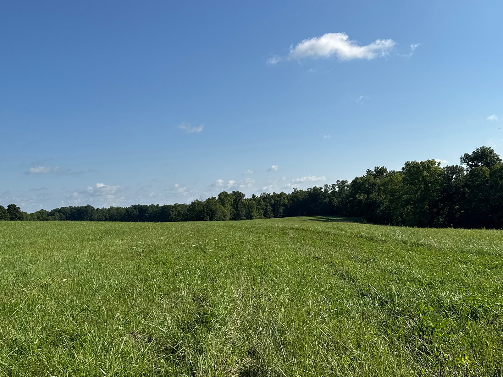Property photo 36 - LAND AUCTION - 224+/-ACRES OFFERED IN 8 TRACTS IN WAYNE COUNTY, INDIANA