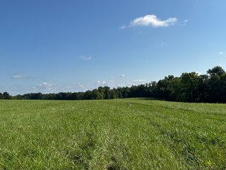 Property photo 36 - LAND AUCTION - 224+/-ACRES OFFERED IN 8 TRACTS IN WAYNE COUNTY, INDIANA