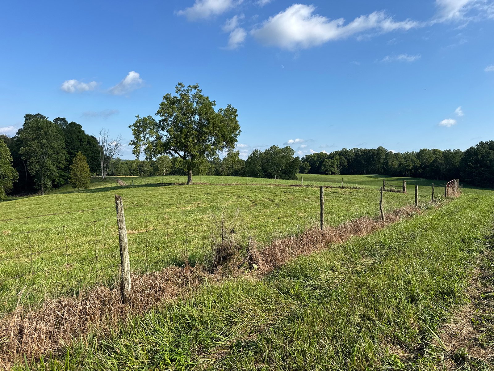 Property photo 38 - LAND AUCTION - 224+/-ACRES OFFERED IN 8 TRACTS IN WAYNE COUNTY, INDIANA