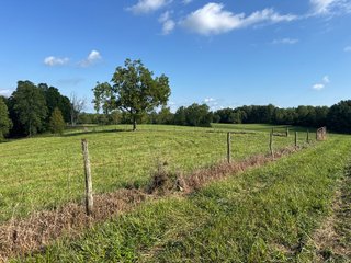 Property photo 38 - LAND AUCTION - 224+/-ACRES OFFERED IN 8 TRACTS IN WAYNE COUNTY, INDIANA