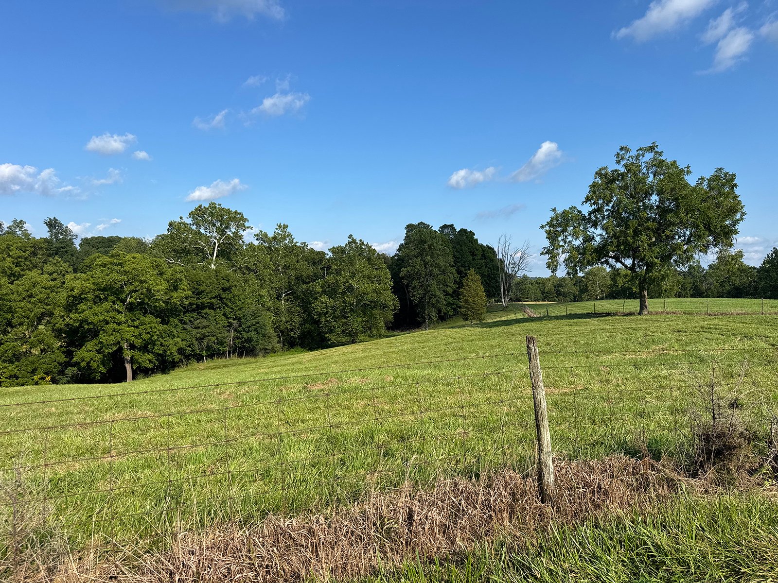 Property photo 39 - LAND AUCTION - 224+/-ACRES OFFERED IN 8 TRACTS IN WAYNE COUNTY, INDIANA