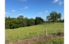 Property photo 39 - LAND AUCTION - 224+/-ACRES OFFERED IN 8 TRACTS IN WAYNE COUNTY, INDIANA