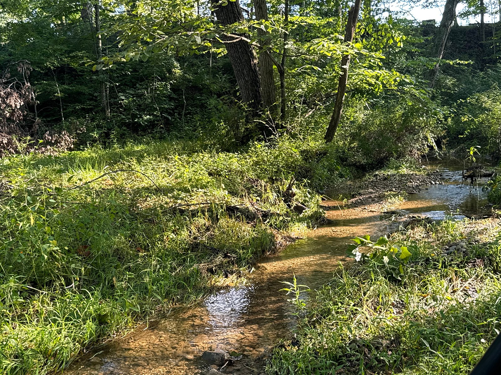 Property photo 41 - LAND AUCTION - 224+/-ACRES OFFERED IN 8 TRACTS IN WAYNE COUNTY, INDIANA