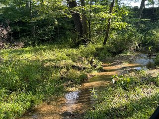 Property photo 41 - LAND AUCTION - 224+/-ACRES OFFERED IN 8 TRACTS IN WAYNE COUNTY, INDIANA