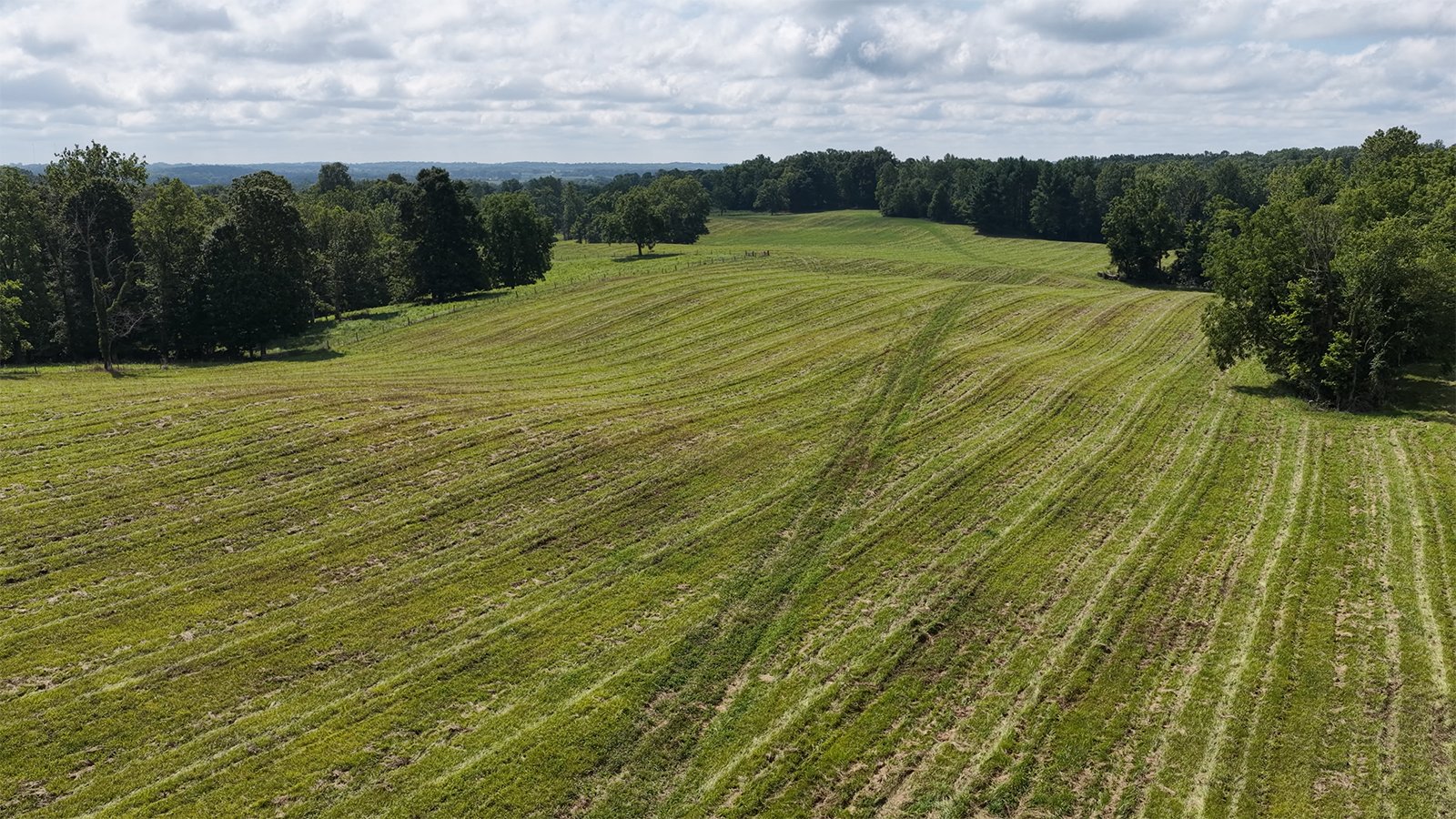 Property photo 8 - LAND AUCTION - 224+/-ACRES OFFERED IN 8 TRACTS IN WAYNE COUNTY, INDIANA