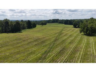 Property photo 8 - LAND AUCTION - 224+/-ACRES OFFERED IN 8 TRACTS IN WAYNE COUNTY, INDIANA