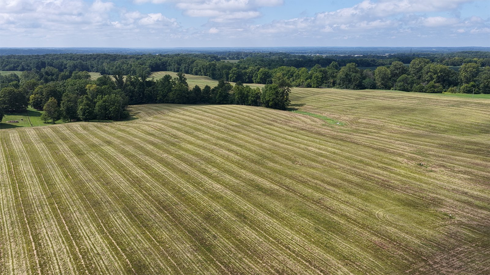 Property photo 11 - LAND AUCTION - 224+/-ACRES OFFERED IN 8 TRACTS IN WAYNE COUNTY, INDIANA