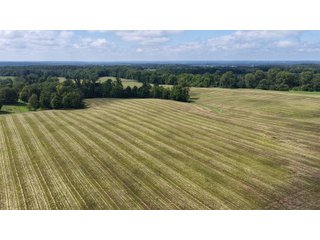 Property photo 11 - LAND AUCTION - 224+/-ACRES OFFERED IN 8 TRACTS IN WAYNE COUNTY, INDIANA