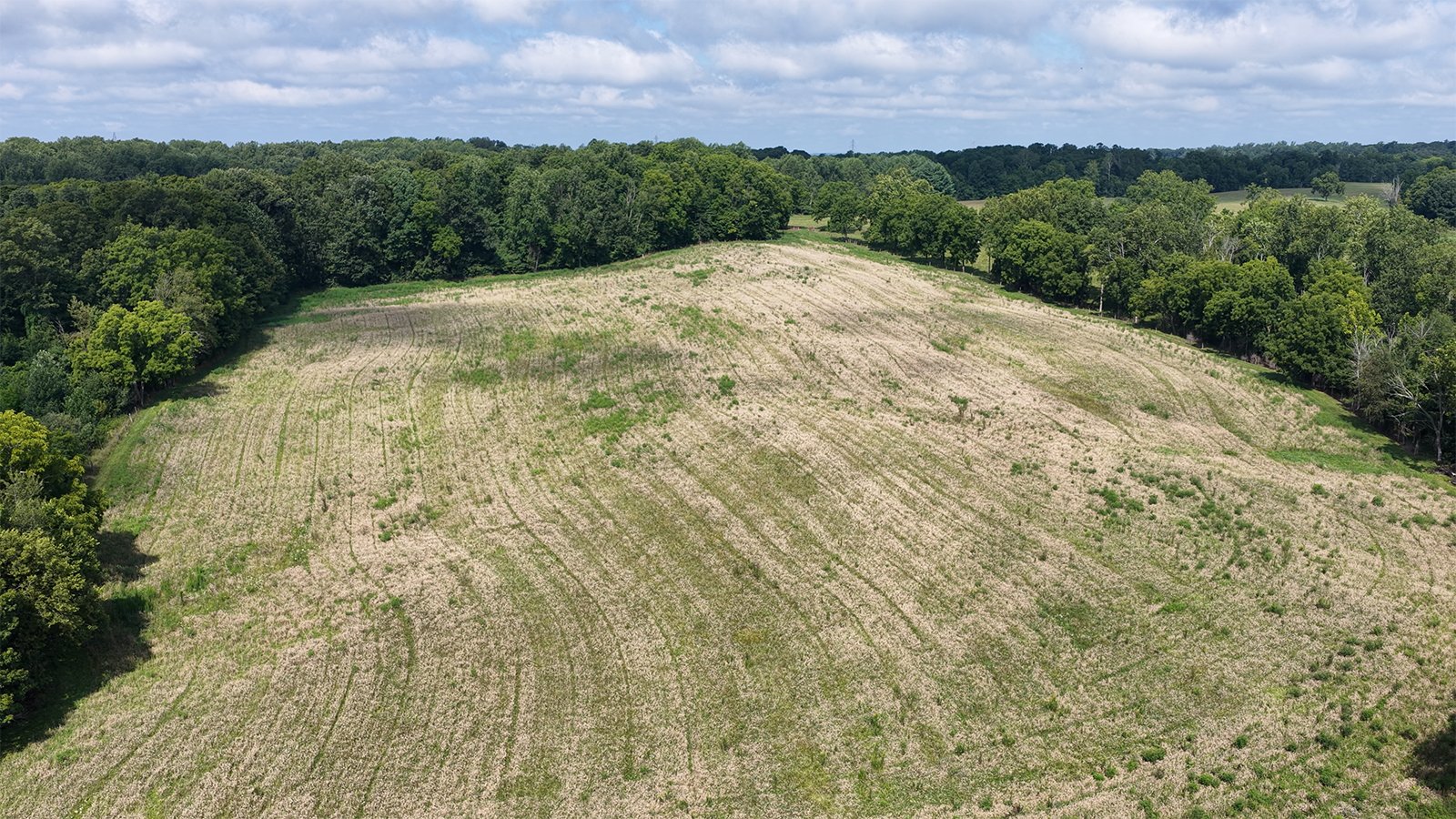 Property photo 12 - LAND AUCTION - 224+/-ACRES OFFERED IN 8 TRACTS IN WAYNE COUNTY, INDIANA
