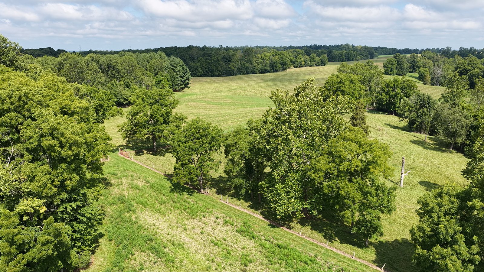 Property photo 14 - LAND AUCTION - 224+/-ACRES OFFERED IN 8 TRACTS IN WAYNE COUNTY, INDIANA